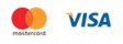 visa master